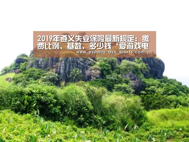 2019年遵义失业保险最新规定:缴费比例、基数、多少钱‘爱游戏电竞’(图2) 2019年遵义失业保险最新规定:缴费比例、基数、多少钱‘爱游戏电竞’(图2)
