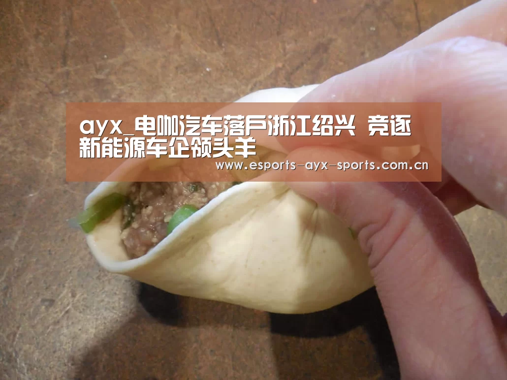 爱游戏中国官网