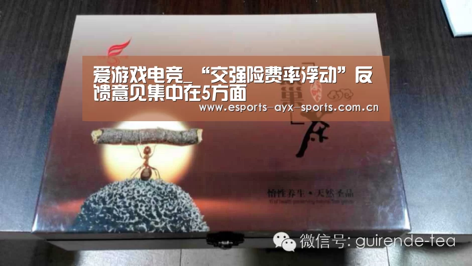 爱游戏电竞_“交强险费率浮动”反馈意见集中在5方面(图4) 爱游戏电竞